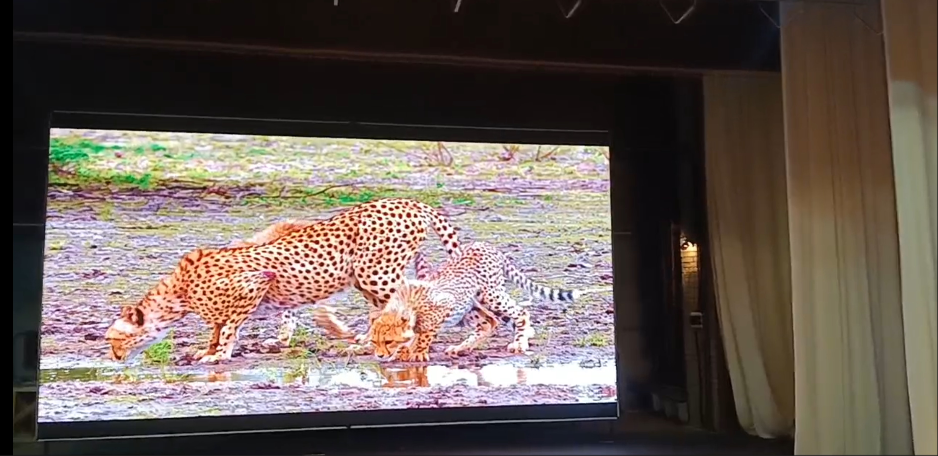 Экран для МБУ "Бакалинский РДК им.Нажиба Асанбаева" - фото 2