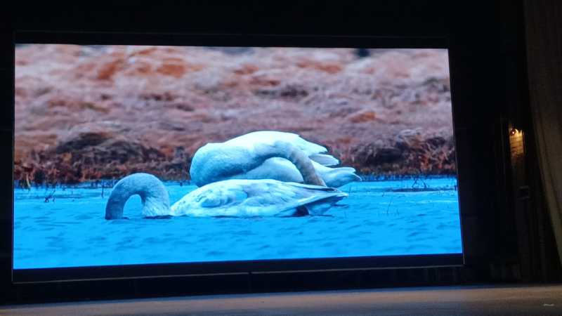 Экран для МБУ "Бакалинский РДК им.Нажиба Асанбаева" - фото 3