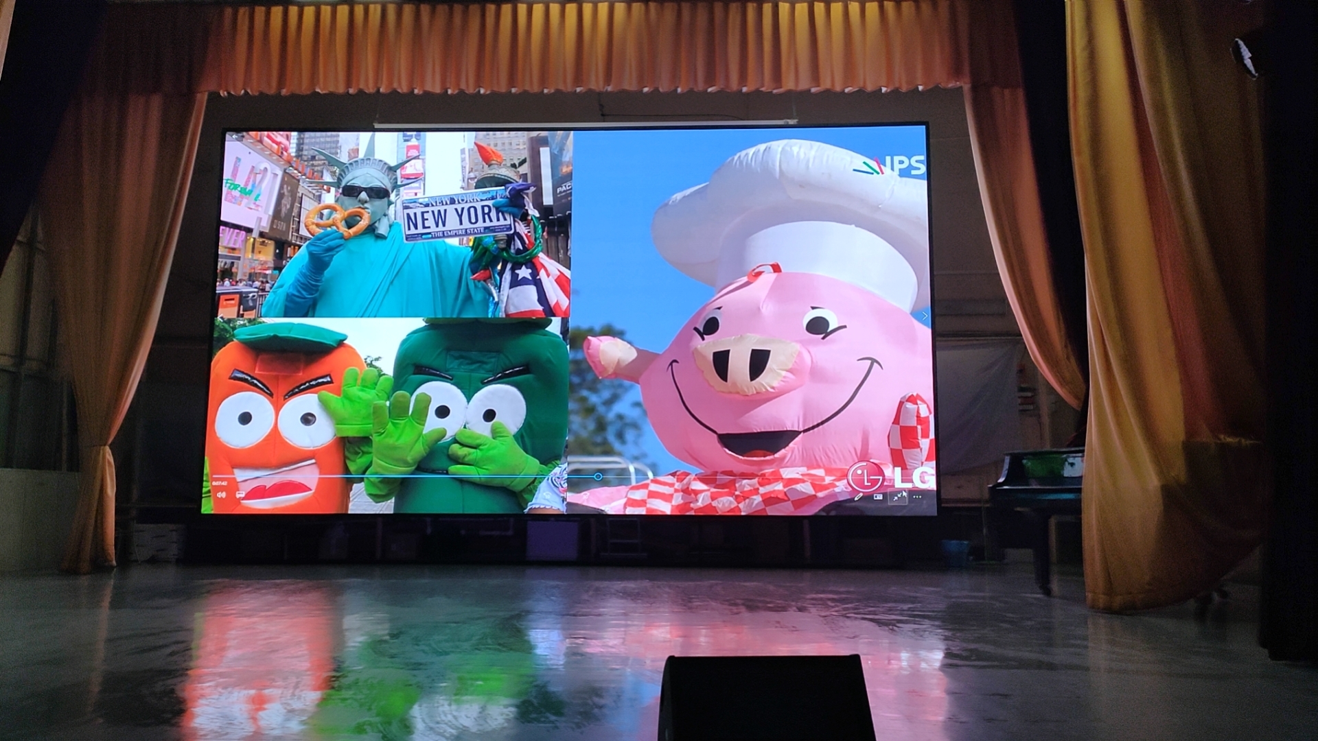 Экран для МБУК АР РДК ФАКЕЛ г. Аксай