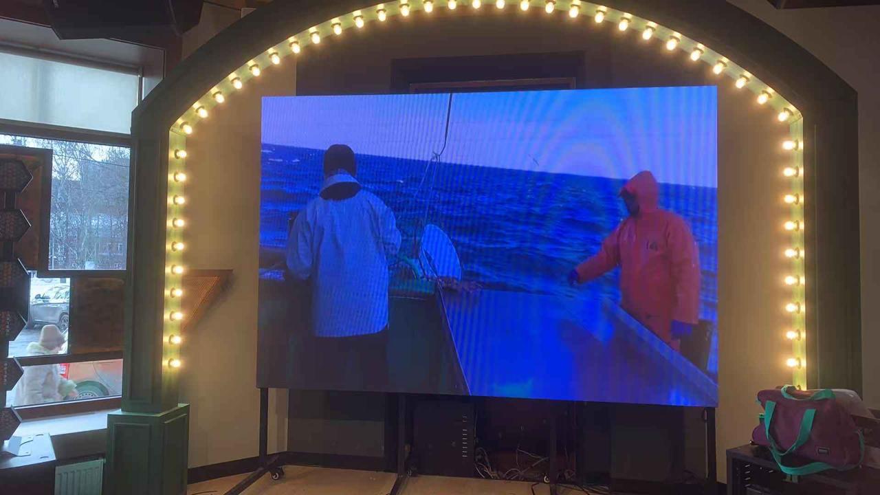 Экран для ресторана Магадан  в Перми - фото 1