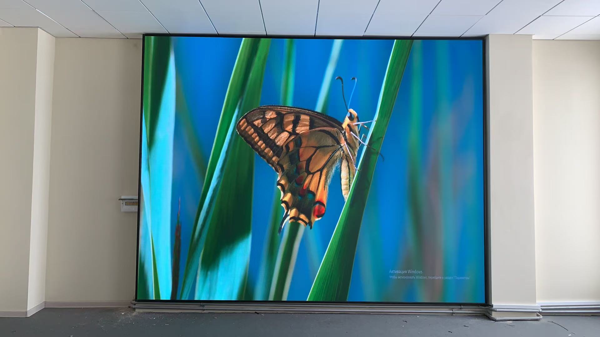 Интерьерный экран для института - фото 1