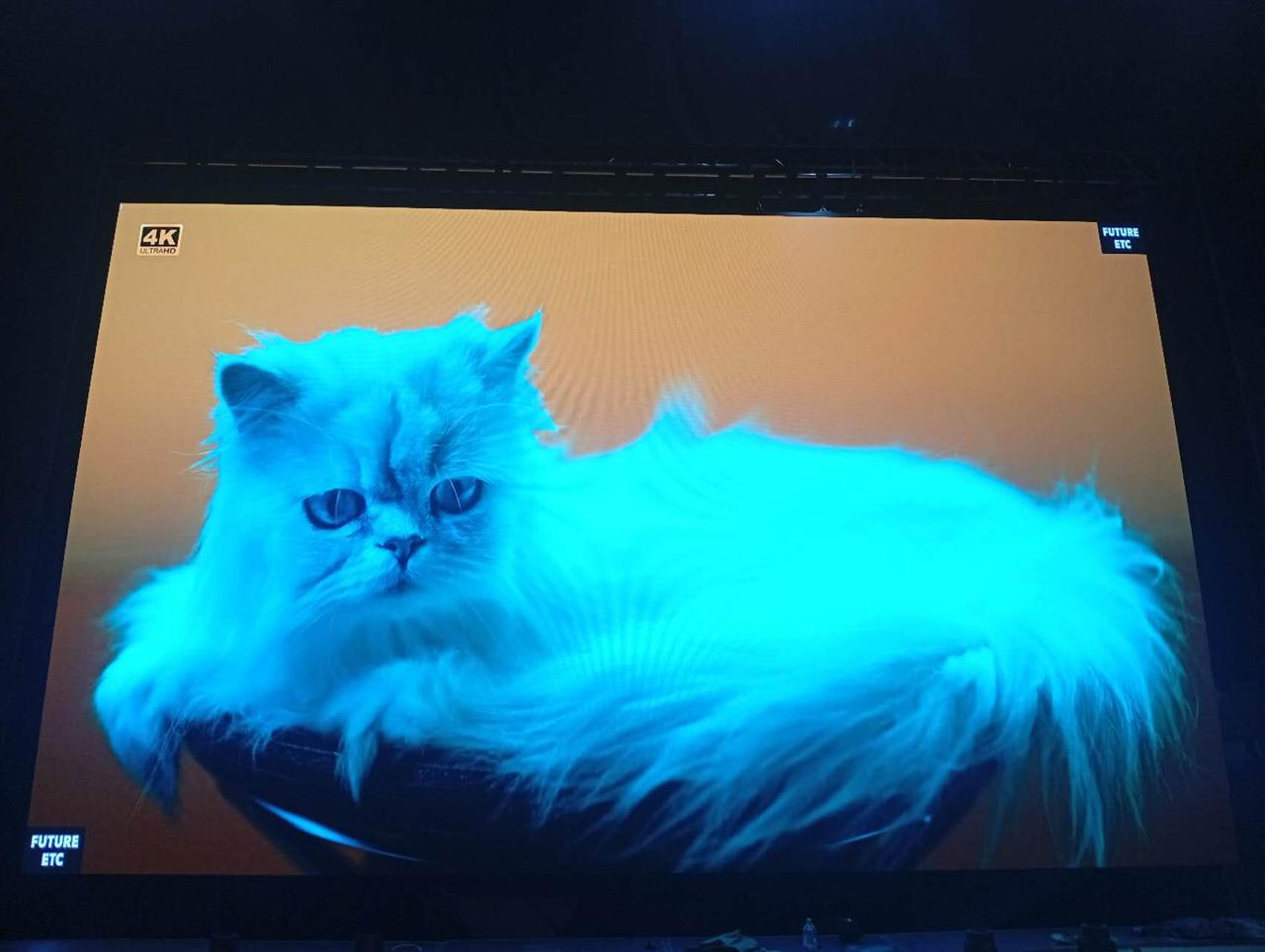 Интерьерный экран для МБУК "МКЦ г. Рязани"