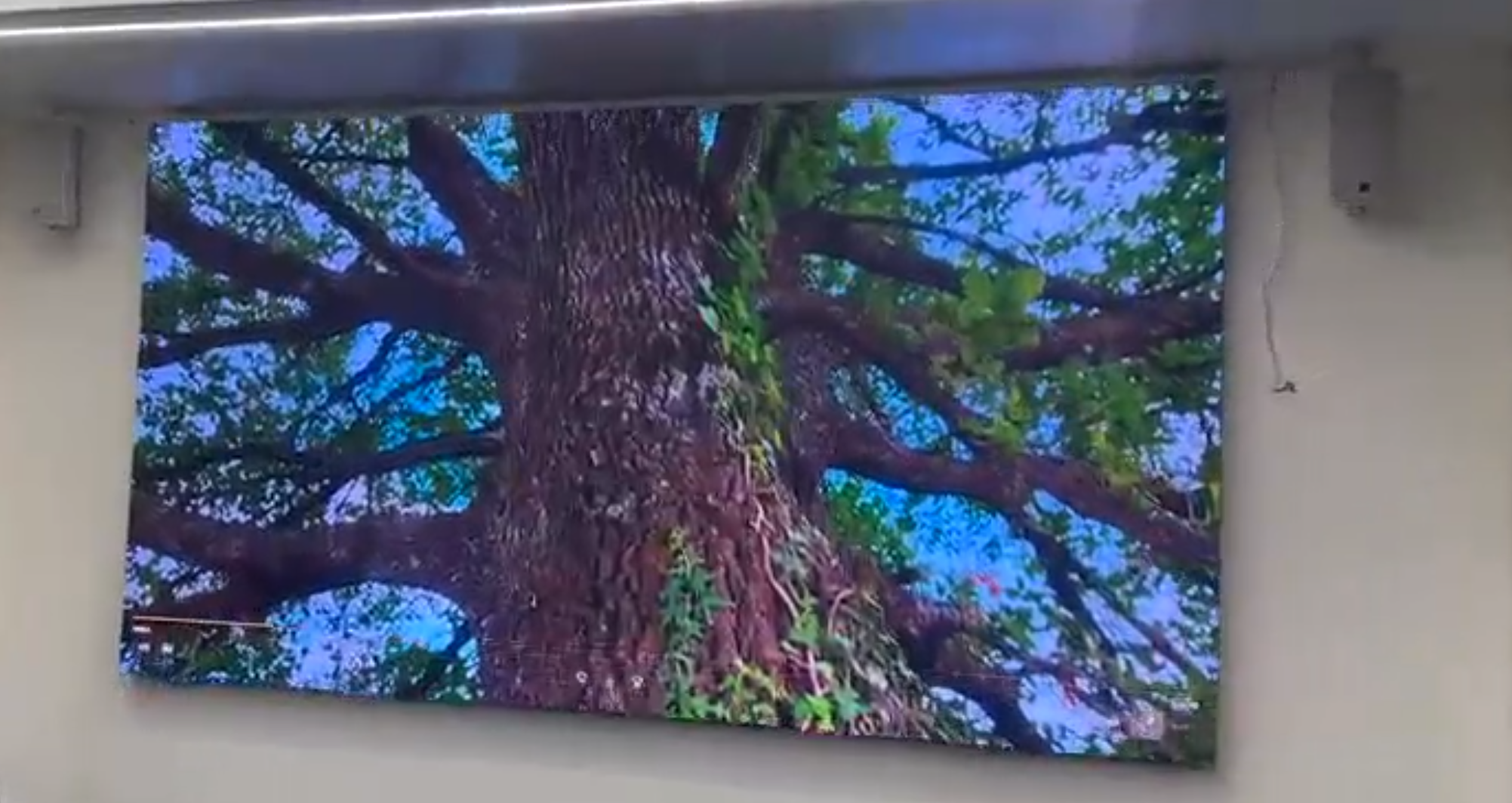 Интерьерный экран для Центра занятости населения в Томске - фото 1