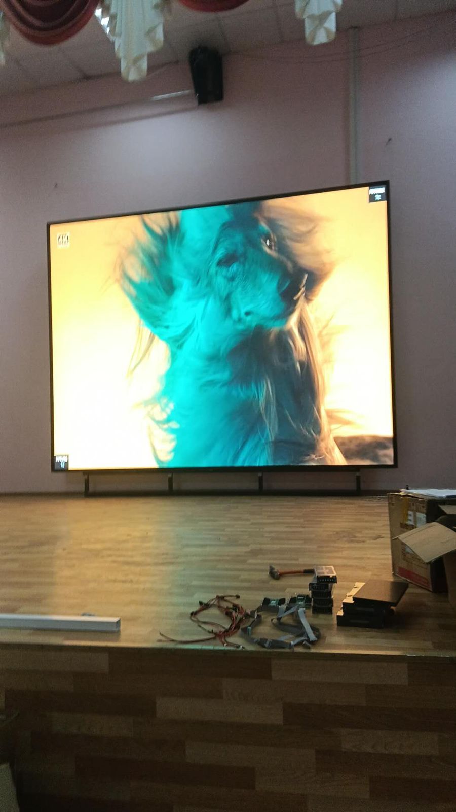 Интерьерный экран  Р2.5, для МБОУ «Гимназия №6» г. Муром - фото 1