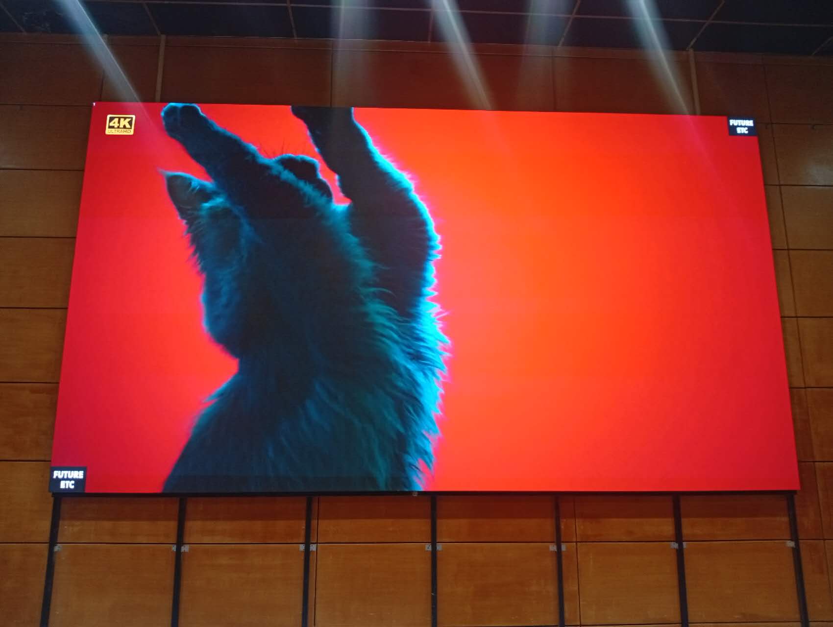 Интерьерный экран  Р2, для МБУ «Конькобежный центр «Коломна» - фото 2