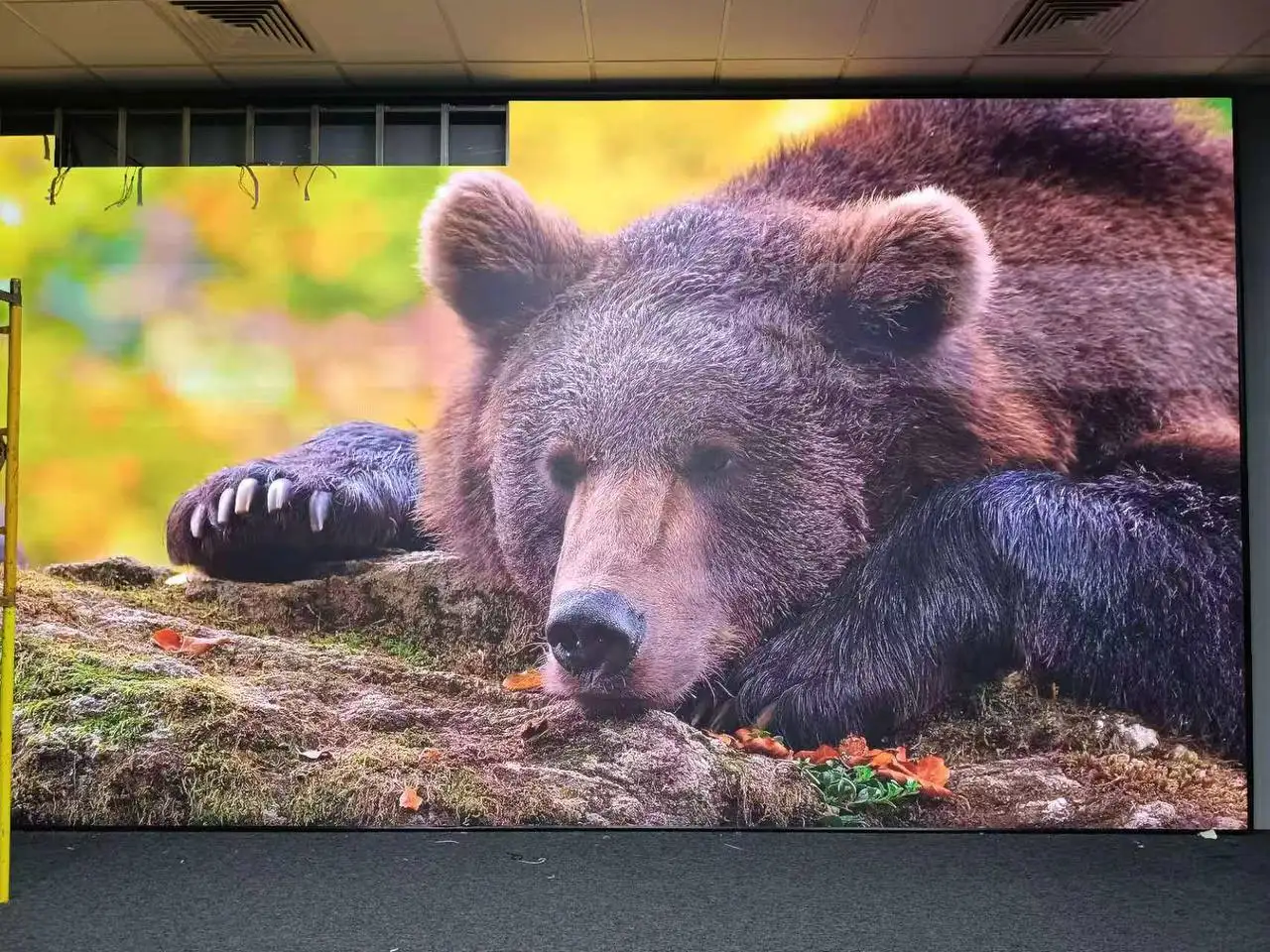 МИРЭА-Российский Технологический Университет - фото 2