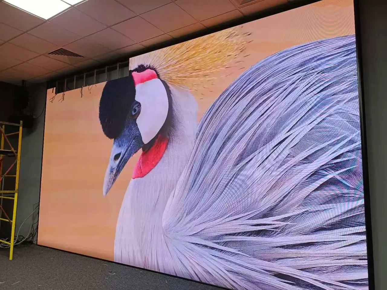 МИРЭА-Российский Технологический Университет - фото 3