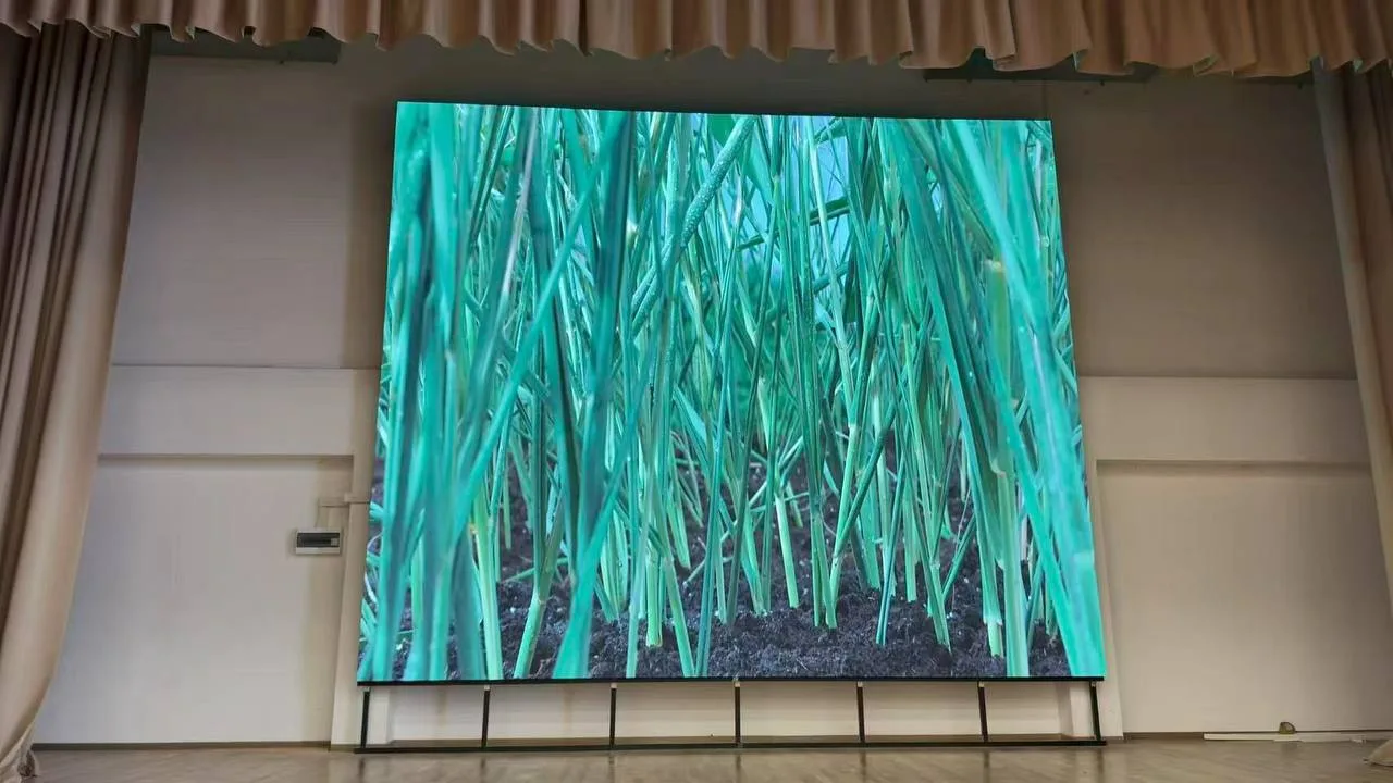 Интерьерный LED экран Р2,976 для МОУ «Лицей №1 пос. Львовский»