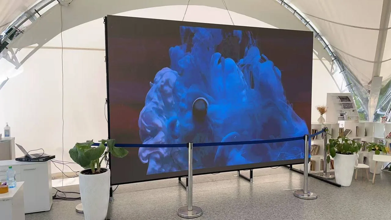 Интерьерный LED-экран для «Озеропарка» в Зеленограде